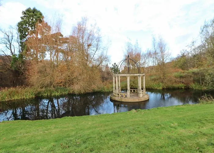 Primrose Saltburn-by-the-Sea