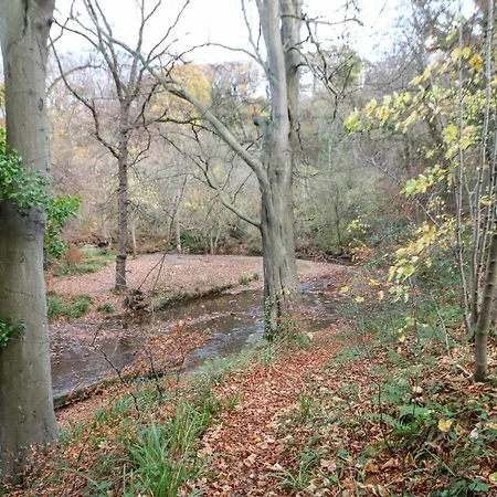 Primrose Casa vacanze Saltburn-by-the-Sea