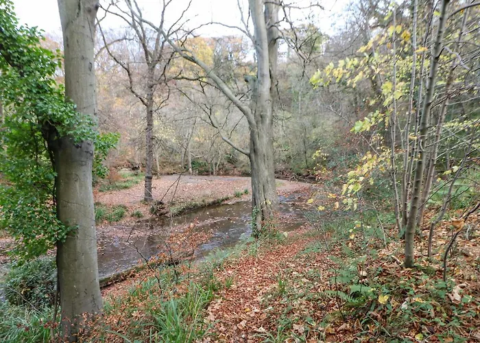 Primrose Casa vacanze Saltburn-by-the-Sea